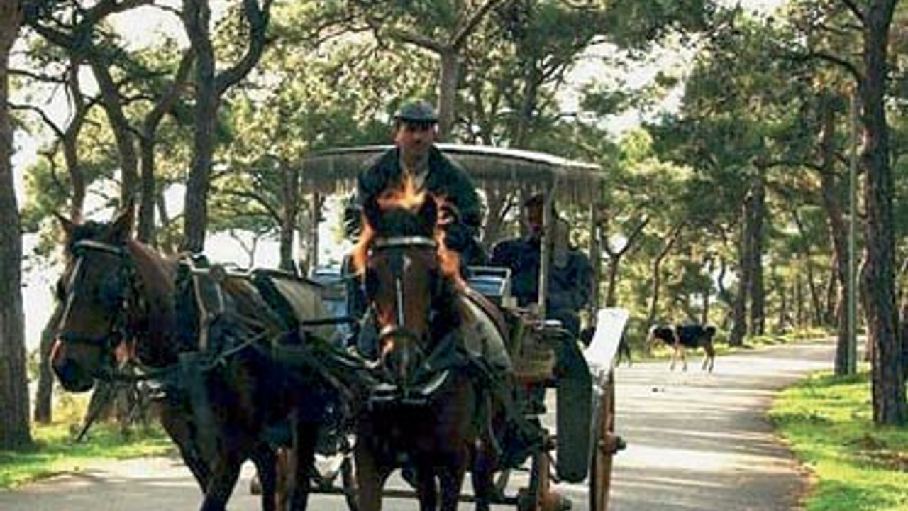 İstanbul’un yürüyüş parkurları!