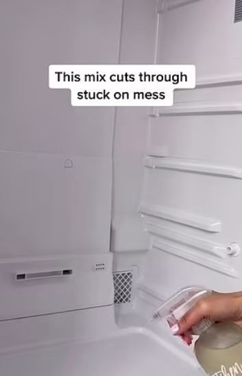 Buzdolabını 3 adımda nasıl temizlediğini ve rafları silmek için kullandığı ucuz çözümü açıklıyor - Resim : 2
