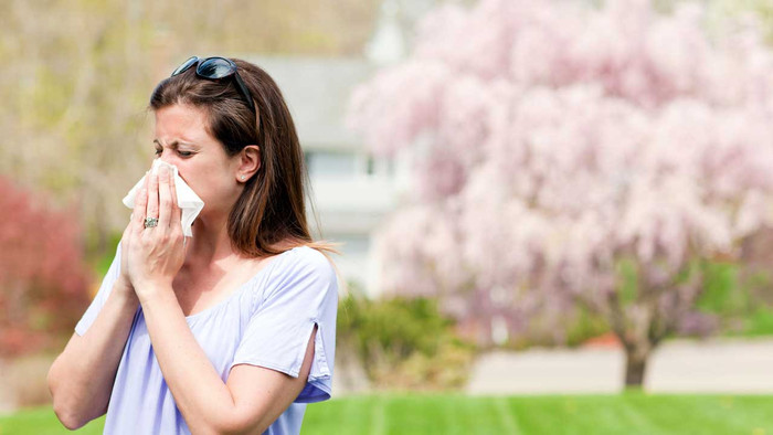 Evde iç mekan alerjilerini kontrol etmek için 7 ipucu - Resim : 1