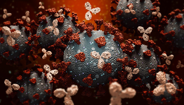 Propolisin koronavirüs üzerindeki etkisi nedir? Propolis bağışıklığı güçlendiriyor mu? - Resim : 1