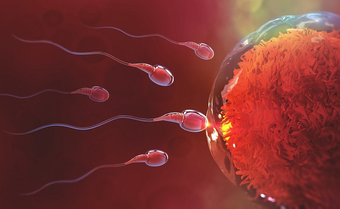 Erkeklerde sperm kalitesi nasıl anlaşılır? Sperm sayısı ve kalitesini artırma yolları - Resim : 2
