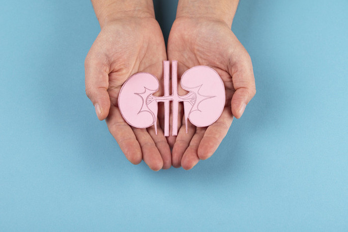 Organ bağışı nasıl yapılır? Kimler organ bağışı yapabilir? 11 soruda organ bağışına dair merak edilenler - Resim : 3