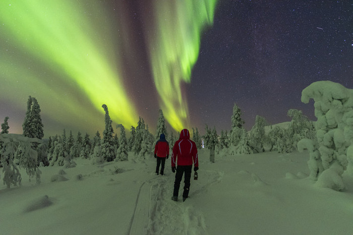 Kuzey ışıkları: Büyüleyici doğa harikası için en iyi yer ve zaman - Resim : 1