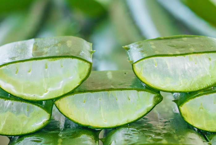 Aloe vera suyu: Evde nasıl yapılır? Denemek için 9 neden - Resim : 2