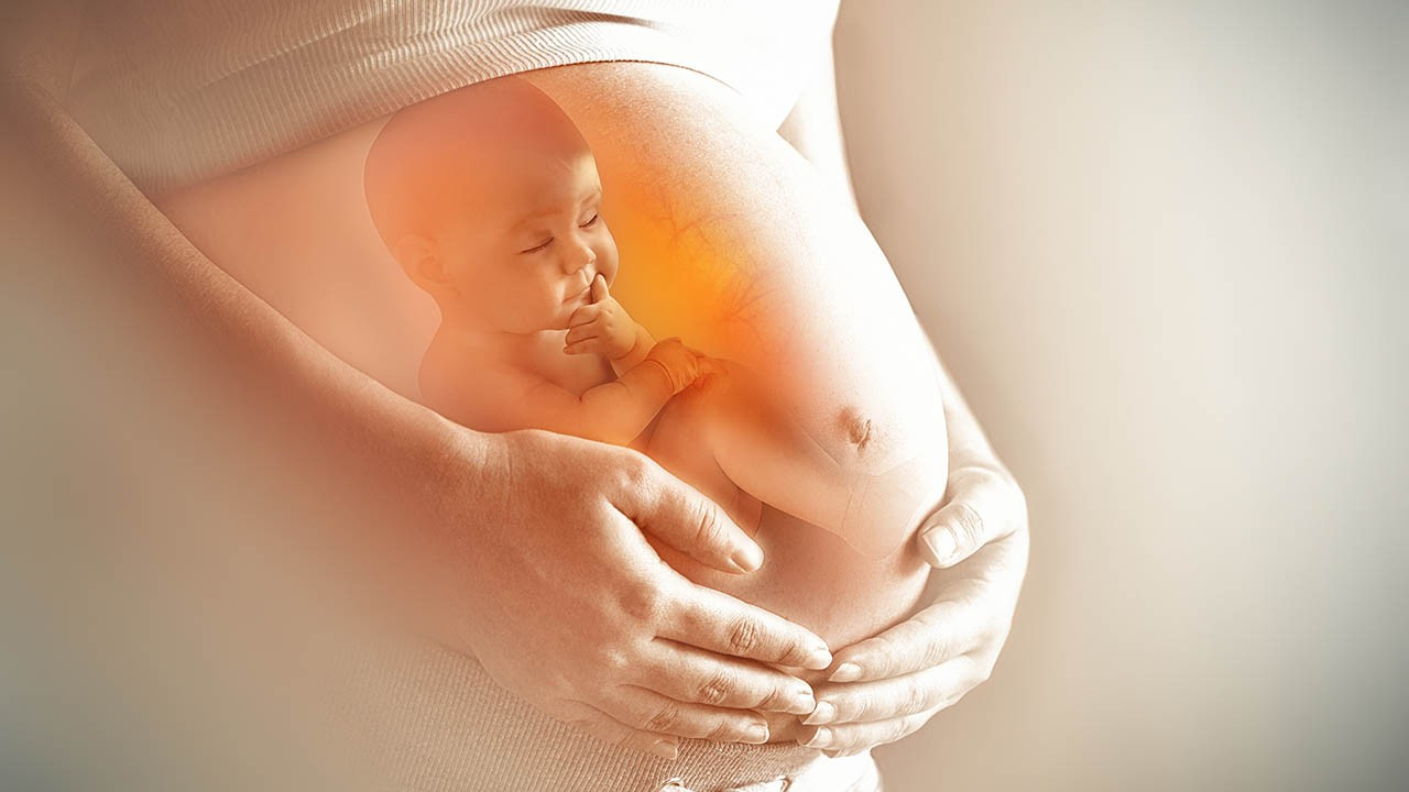 6 soruda tüp bebek: Nedir? Aşama aşama tüp bebek süreci
