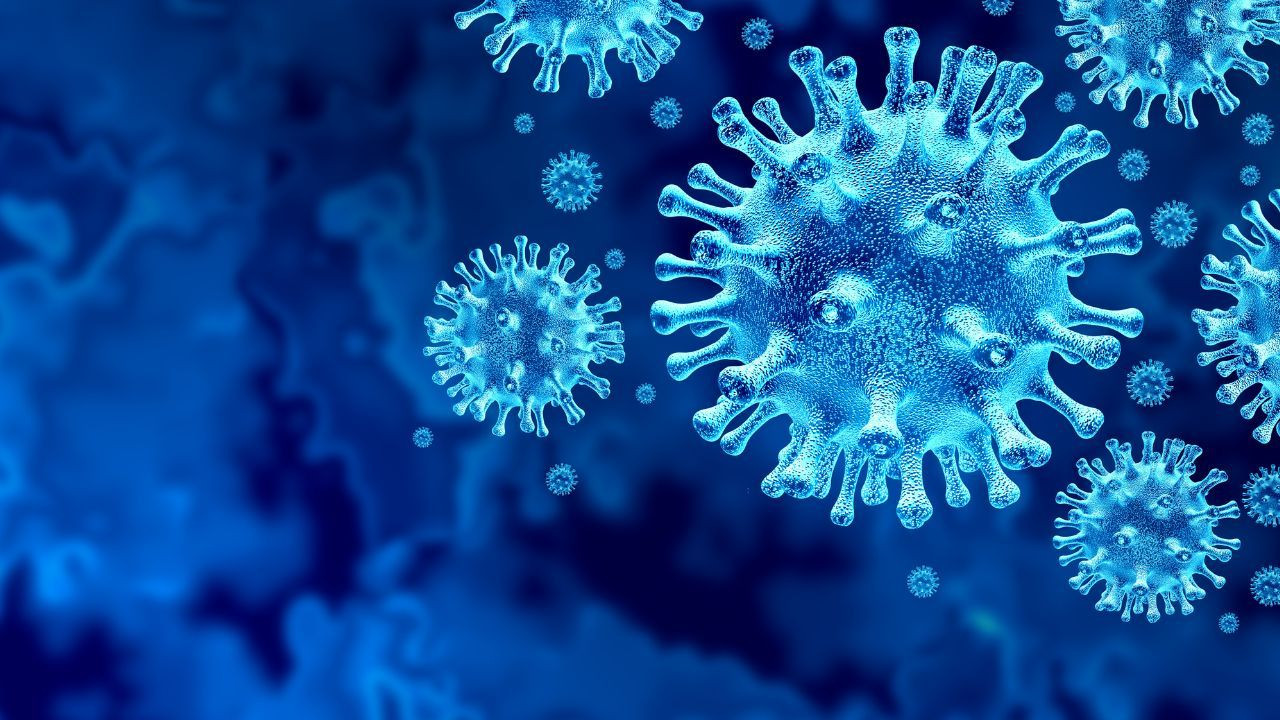 Şu an en sık görülen 4 koronavirüs belirtisi: İşte listedeki 20 semptom - Sayfa 4