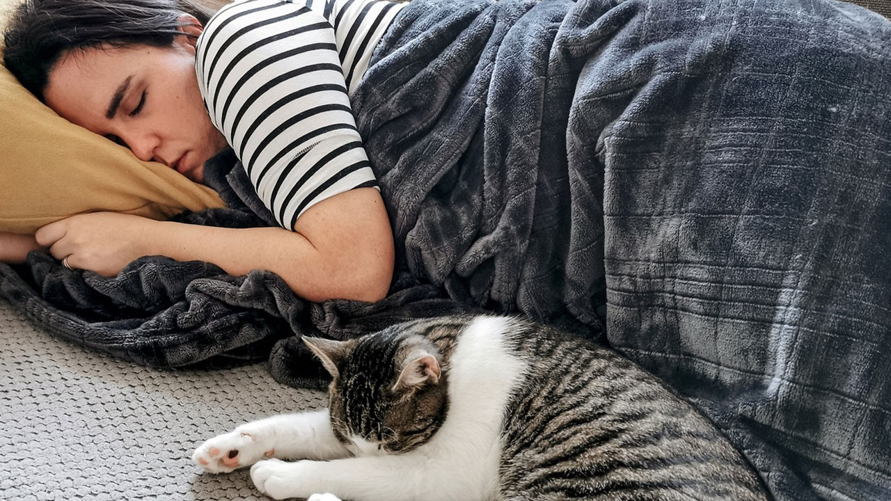 Evcil hayvanla yatakta beraber uyumak zararlı mı?