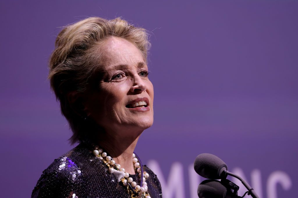 Sharon Stone'dan yıllar sonra gelen Kurtlar Vadisi itirafı: Kimse İngilizce konuşmuyordu