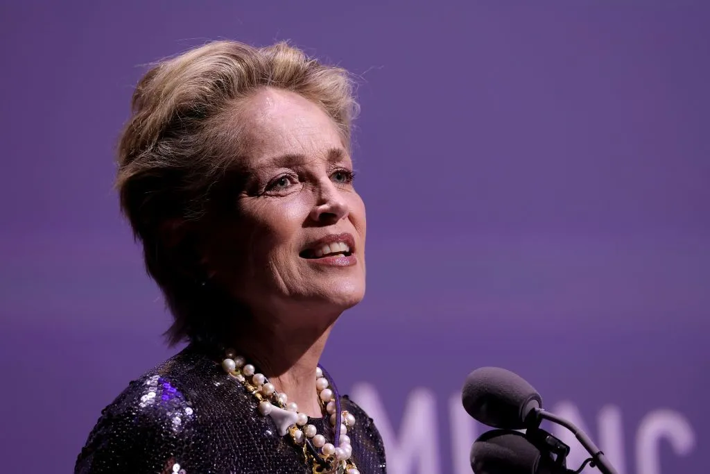 Sharon Stone'dan yıllar sonra gelen Kurtlar Vadisi itirafı: Kimse İngilizce konuşmuyordu