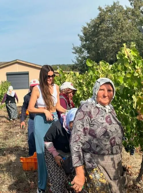 Kıvanç Tatlıtuğ, 41'inci yaş gününü eşi ve oğlu ile bağ bozumunda üzüm toplayarak kutladı