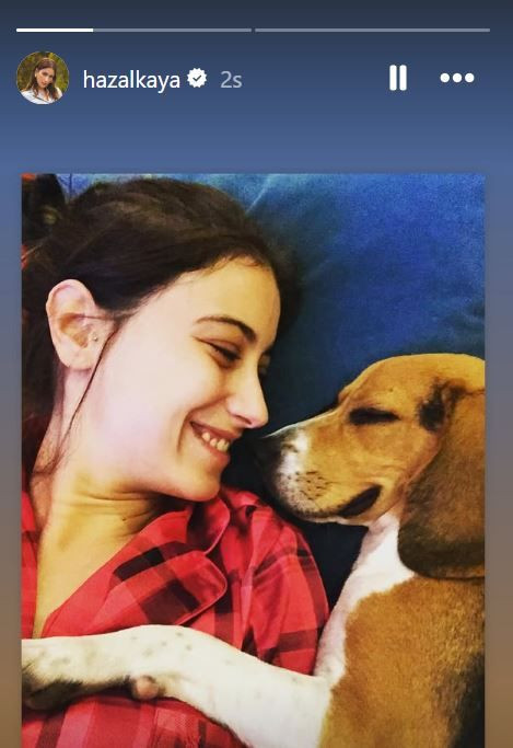 Hazal Kaya’dan ölen köpeği Sherlock için duygusal paylaşım: Tek tesellim birlikte geçirdiğimiz on yıl...