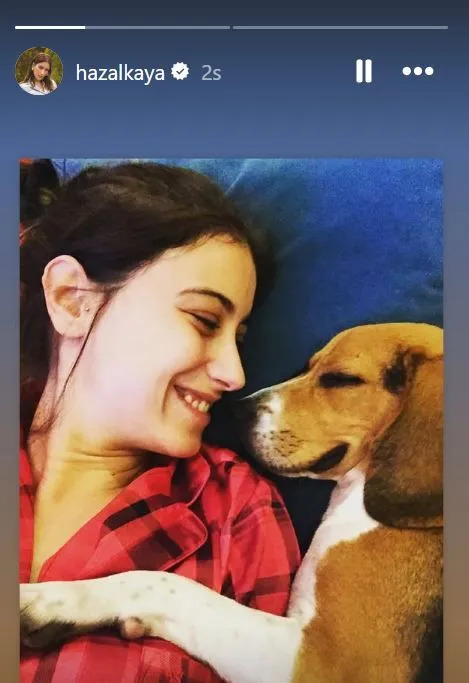 Hazal Kaya’dan ölen köpeği Sherlock için duygusal paylaşım: Tek tesellim birlikte geçirdiğimiz on yıl...