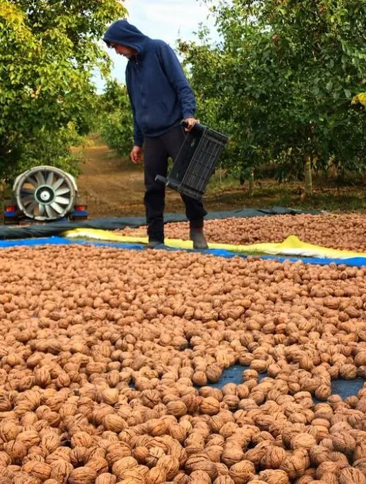 Oyunculuğu bırakıp, kendine çiftlik kurmuştu! Büyük projeleri reddettiği için pişman olduğunu açıkladı