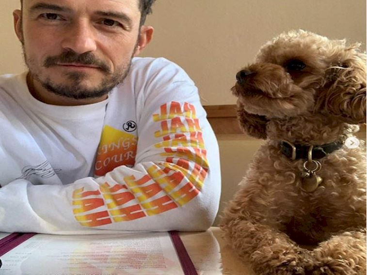 Orlando Bloom köpeğinin adını kalbine dövmeledi