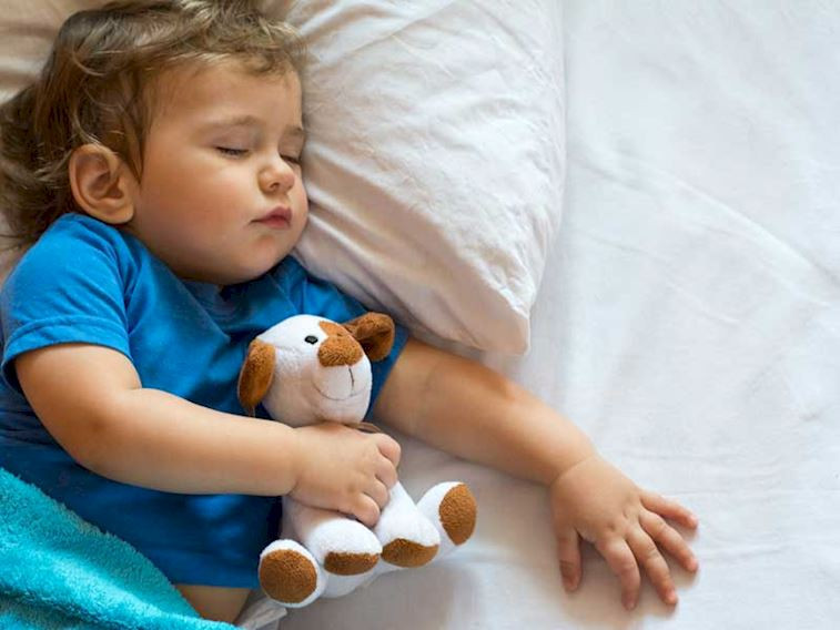 Montessori Yatak İle Özgürleşen Çocuklar
